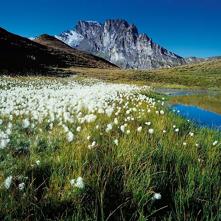 菲林沃浓温特豪斯旅馆 * 图克斯