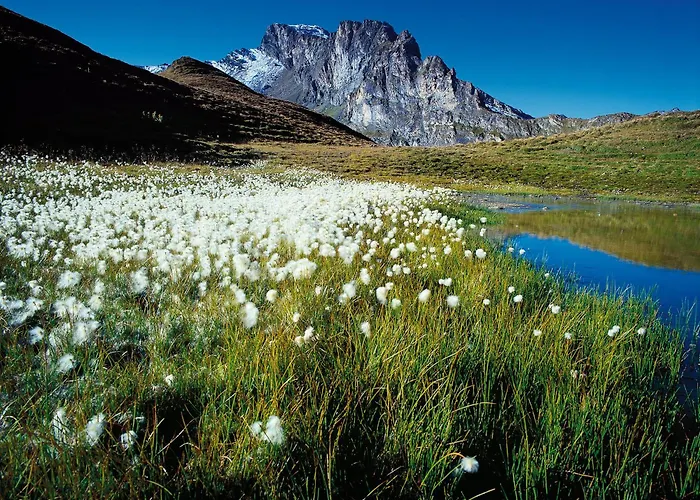 Am Winterhaus * Тукс